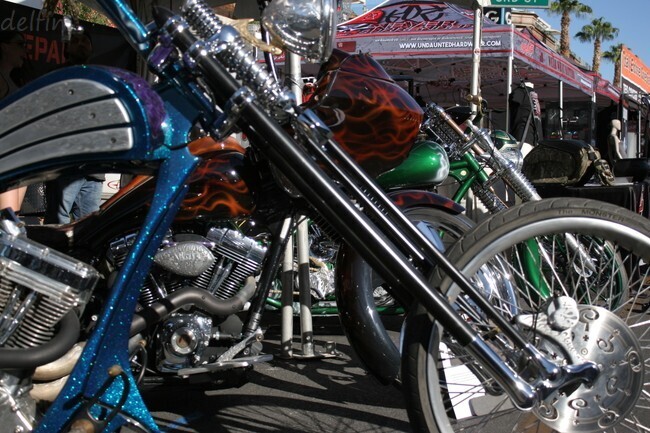 IMG_3258.jpg