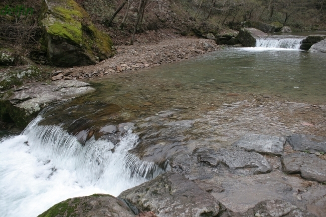 IMG_3437.jpg