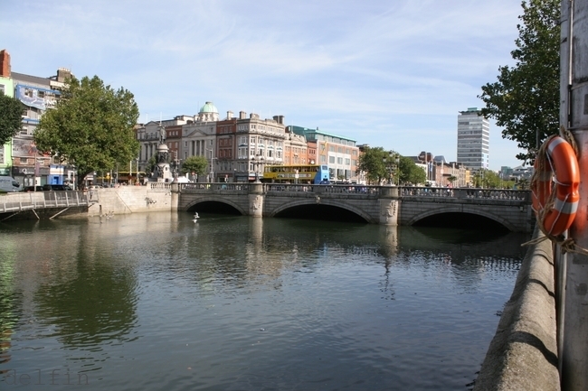 IMG_3543.jpg
